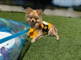 IMG_20250804_070754_507