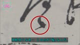ザ・バックヤード　知の迷宮の裏側探訪　鹿児島県歴史・美術センター　黎明館_20230418-141834