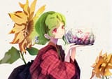 __kazami_yuuka_touhou_drawn_by_nywerya__4f9dc7bd0ab71d3a2f8a7ee26c0207c2