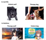 doogmeme