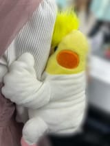 IMG_20250808_070922_862