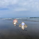 Gx46suobsAAo0Z3