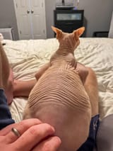 IMG_5565