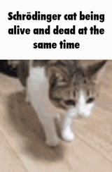 1741657753774776
