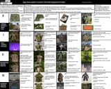CTE Guide 1.00