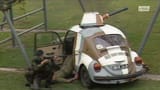 Beetle technical