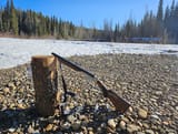 410 shorty innawoods
