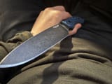 Guardian 6