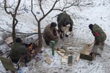 the mysterious russian soul loves animals, such as this dog
