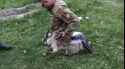 escape goat_thumb.jpg