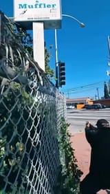 Race rioter armed with pistol at intersection
