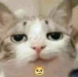 1681364388634362