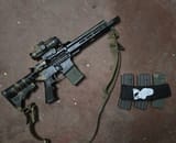 Mule 17