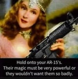not-the-ruby-ar-15s-v0-df231df2d0pd1