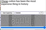 Screenshot_20250612_040103_Chrome