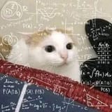 1744377141487681