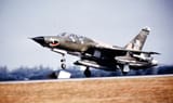 Wild Weasel