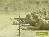 m77 guys 2