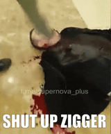 Shut Up Zigger