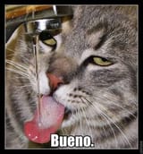 images (6)