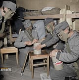 Zyklon benis 
