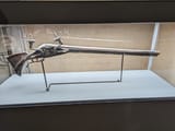 PXL_20230930_074343001