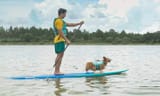 202503202108paddle-board-with-dog-10