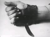serb cutter