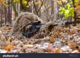 stock-photo-sniper-hide-in-forest-with-large-caliber-rifle-329262929
