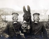 Two German soldiers and their mule wearing gas masks, 1916