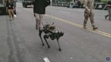 Robo Doggo