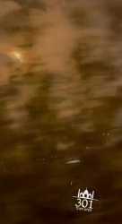 video5366581384611653922_thumb.jpg