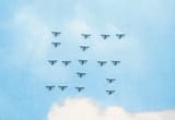 swastiplanes