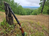 28 gauge shorty innawoods
