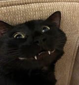 grin