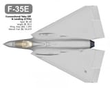 F-35 delta wing