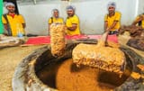 Hindu Sewage Treatment