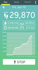 Screenshot_20250613-203318_Pedometer