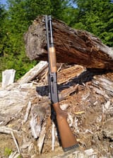 innawoods