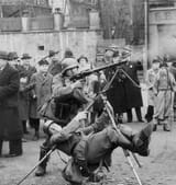 mg3