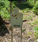 PXL_20250616_1844485582