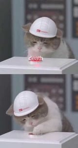 1747098761826571