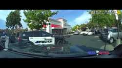 Motorist vs Manteca PD_thumb.jpg