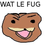 what le fug