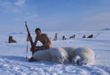 M1917_Sirius_Patrol_Greenland