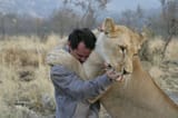 lion-whisperer