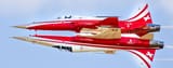 Swiss Tigers