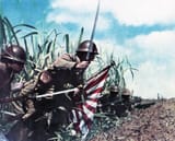 banzai charge color