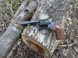 Colt_PP4th_log