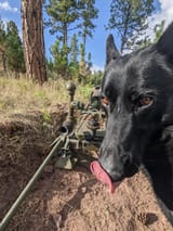 When you spot infantry in the open
